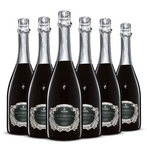 Confezione 6 bottiglie Prosecco Docg Extra Dry – Canella